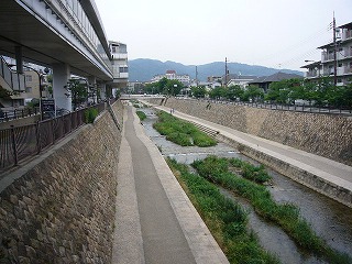 公園・散歩・スポーツの画像